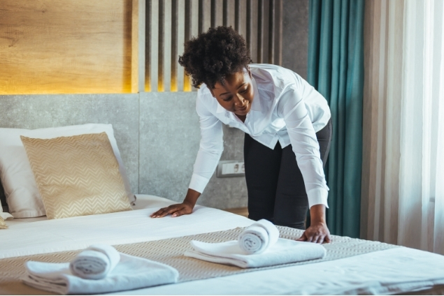 Ménage professionnel